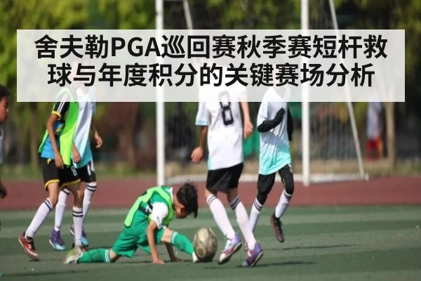 舍夫勒PGA巡回赛秋季赛短杆救球与年度积分的关键赛场分析